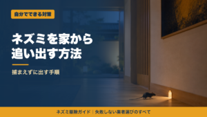 ネズミを家から追い出す方法