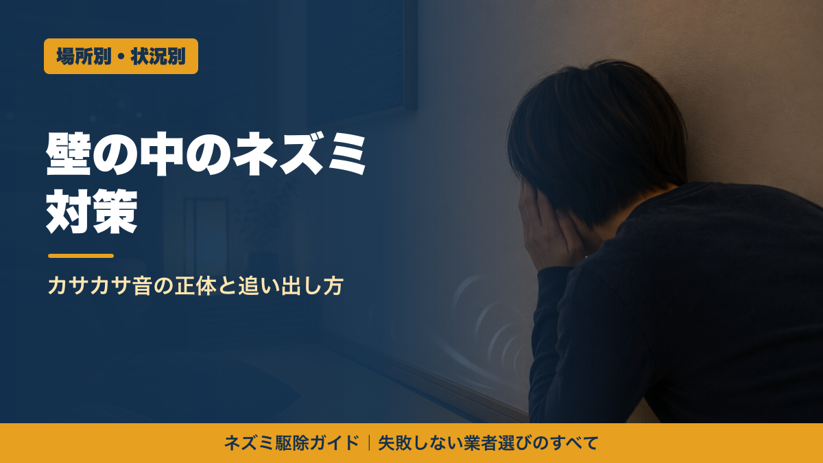 壁の中のネズミ対策