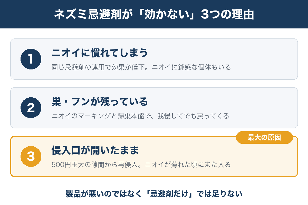 ネズミ忌避剤が効かない3つの理由(ニオイへの慣れ・巣とフンの放置・侵入口の開放)の図解