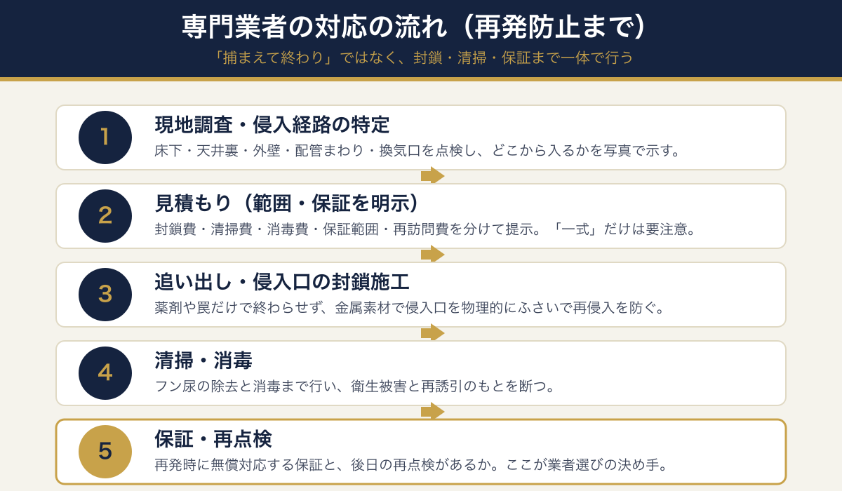 専門業者の対応の流れ。現地調査→見積もり→追い出し・封鎖施工→清掃・消毒→保証・再点検の5ステップ図