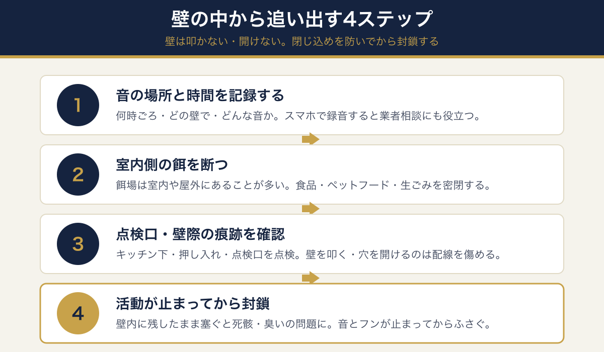 壁の中からネズミを追い出す4ステップ(音を記録・室内の餌を断つ・点検口と壁際を確認・活動が止まってから封鎖)の図