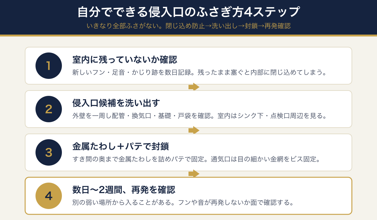 自分でできるネズミ侵入口のふさぎ方4ステップ(室内に残っていないか確認・侵入口を洗い出す・金属たわしとパテで封鎖・数日〜2週間再発確認)の図